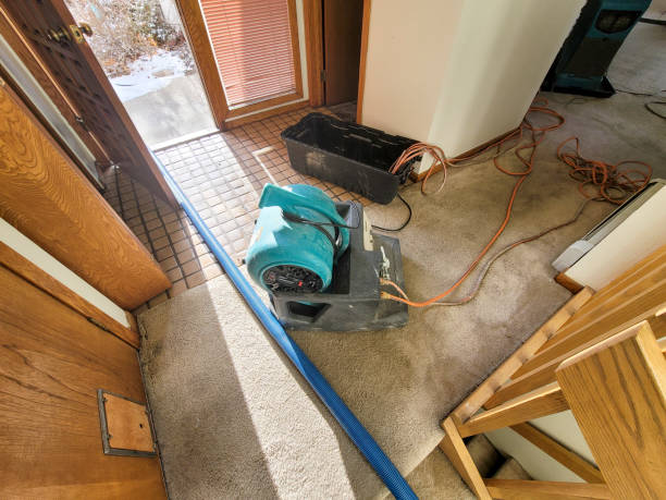 Best Residential water damage restoration  in Frankfort, IL
