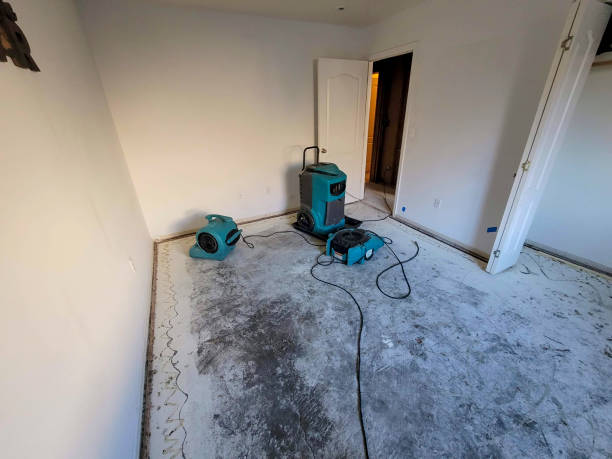 Best Flood restoration services  in Frankfort, IL