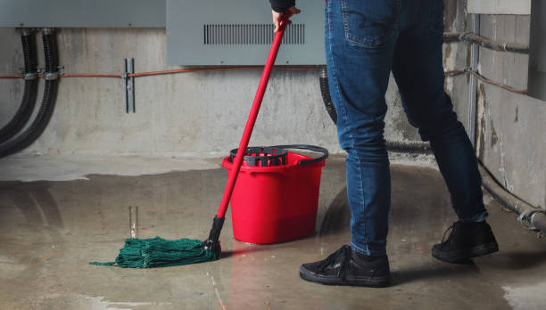 Frankfort, IL Water damage restoration Company