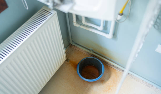 Best Mold removal after water damage  in Frankfort, IL